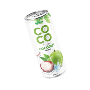 320ml cans best Pure young coconut water with mangosteen