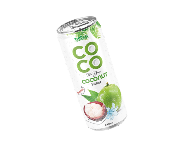 320ml cans best Pure young coconut water with mangosteen