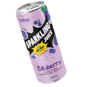 330ml Cans Natural juice sparkling drink bluberry flavored