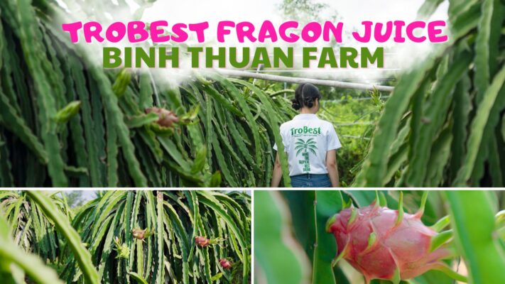 Trobest Dragon Fruit Farm