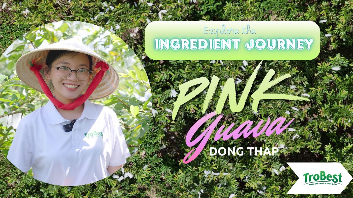 Trobest Pink Guava Farm